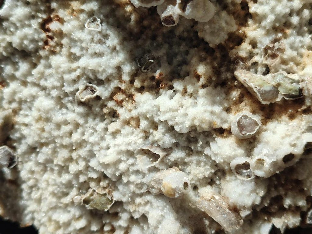 Natural Sceptre Calcite Clusters with Phosphorus Aragonite Coating x 2 From Albert's Mountain, Lesotho