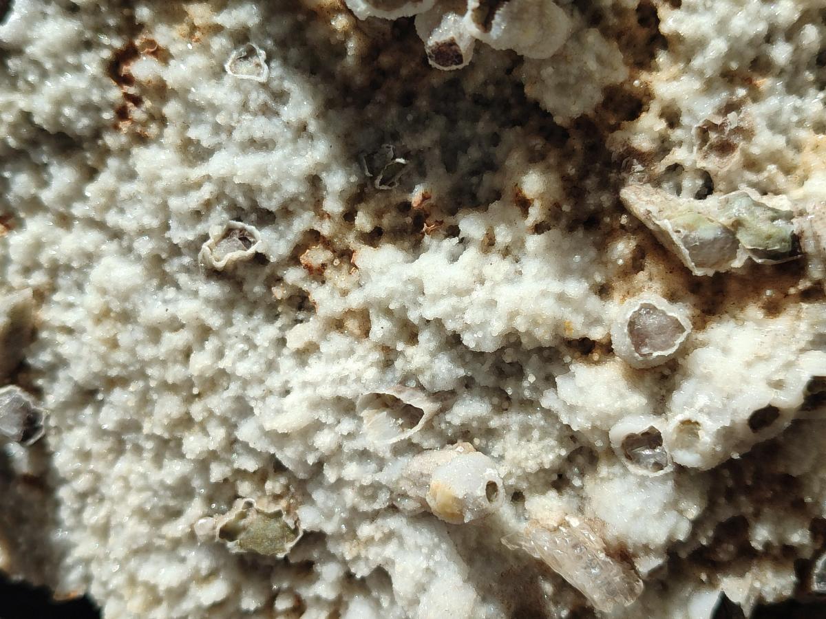 Natural Sceptre Calcite Clusters with Phosphorus Aragonite Coating x 2 From Albert's Mountain, Lesotho