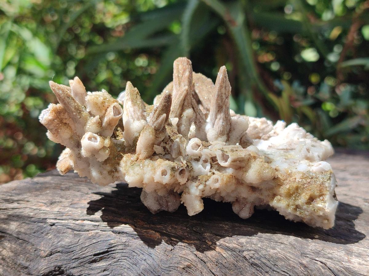 Natural Sceptre Calcite Clusters with Phosphorus Aragonite Coating x 2 From Albert's Mountain, Lesotho