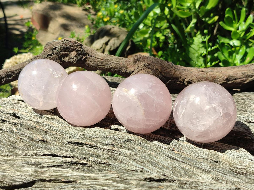 Polished Gemmy Star Rose Quartz Spheres x 6 From Madagascar