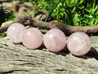 Polished Gemmy Star Rose Quartz Spheres x 6 From Madagascar