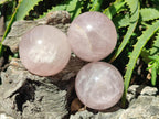 Polished Gemmy Star Rose Quartz Spheres x 6 From Madagascar