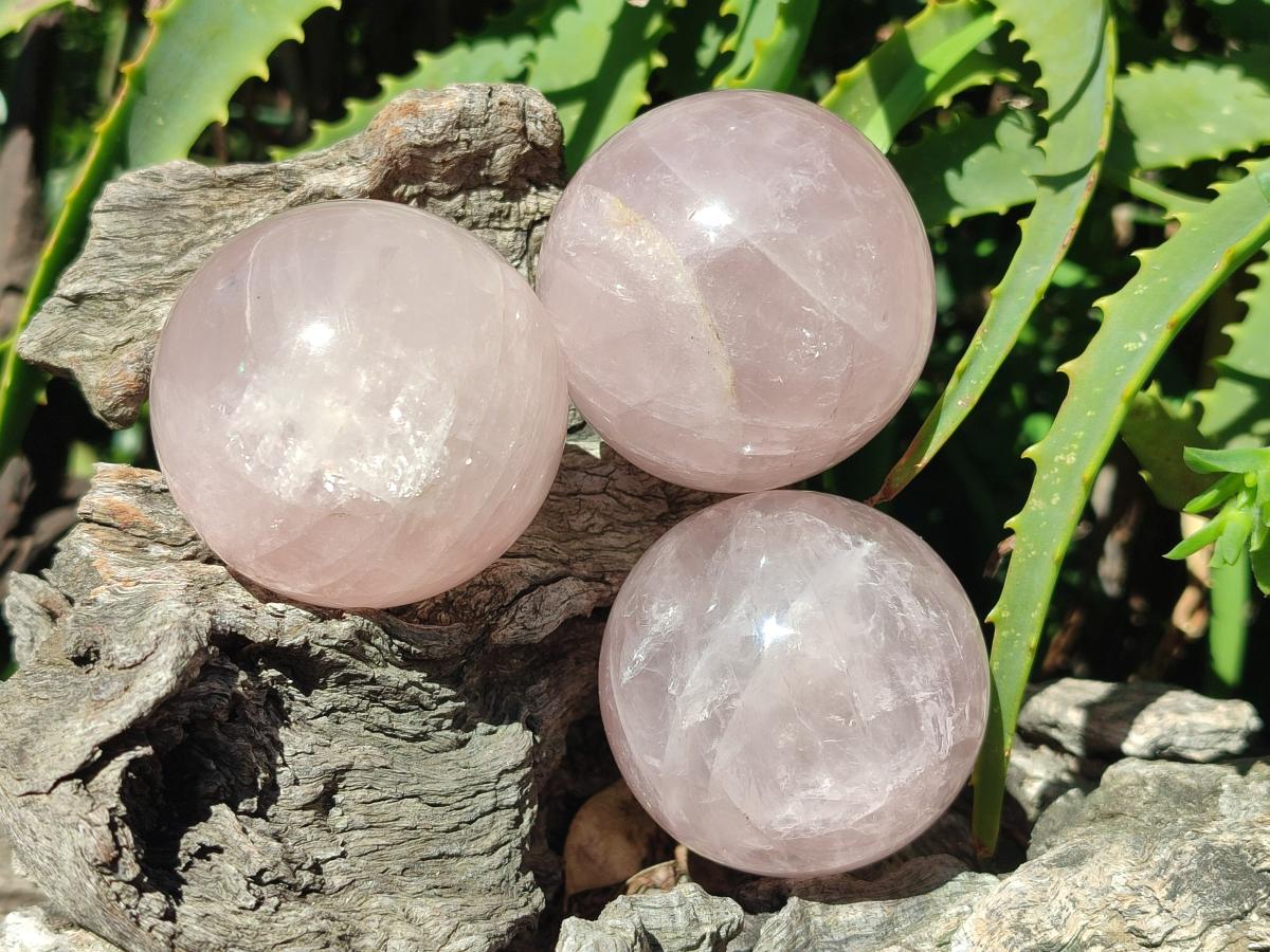 Polished Gemmy Star Rose Quartz Spheres x 6 From Madagascar