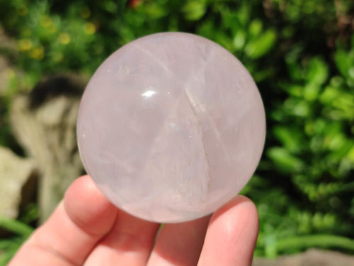 Polished Gemmy Star Rose Quartz Spheres x 6 From Madagascar