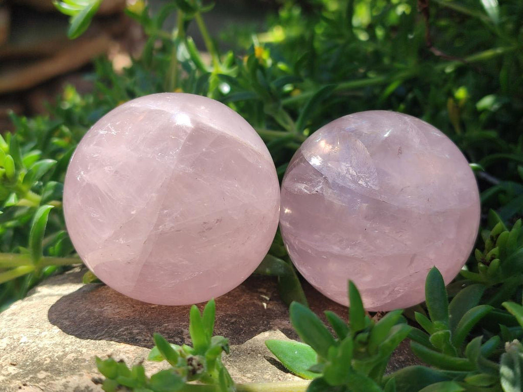 Polished Gemmy Star Rose Quartz Spheres x 6 From Madagascar