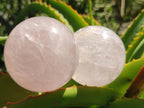 Polished Gemmy Star Rose Quartz Spheres x 6 From Madagascar