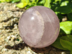 Polished Gemmy Star Rose Quartz Spheres x 6 From Madagascar