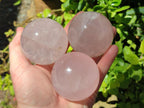 Polished Gemmy Star Rose Quartz Spheres x 6 From Madagascar