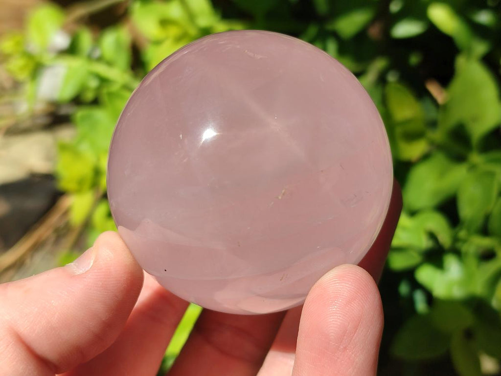 Polished Gemmy Star Rose Quartz Spheres x 6 From Madagascar