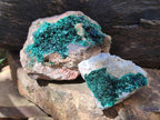 Natural Crystalline Malachite Specimens x 2 From Tenke Fungurume, Congo