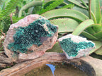 Natural Crystalline Malachite Specimens x 2 From Tenke Fungurume, Congo
