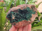 Natural Crystalline Malachite Specimens x 2 From Tenke Fungurume, Congo