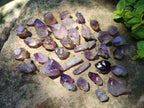 Natural Amethyst Crystals x 35 From Madagascar - Toprock Gemstones and Minerals 