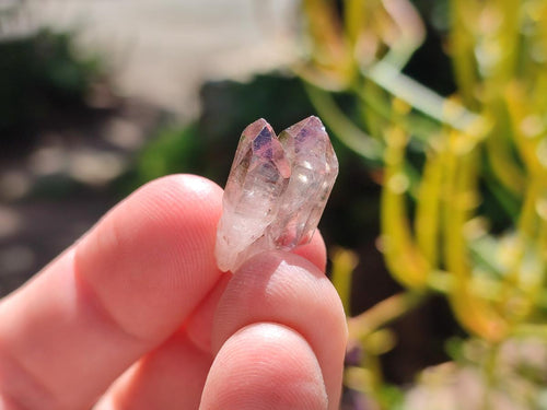 Natural Amethyst Crystals x 35 From Madagascar - Toprock Gemstones and Minerals 