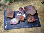 Natural Amethyst Crystals x 35 From Madagascar - Toprock Gemstones and Minerals 