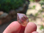 Natural Amethyst Crystals x 35 From Madagascar - Toprock Gemstones and Minerals 