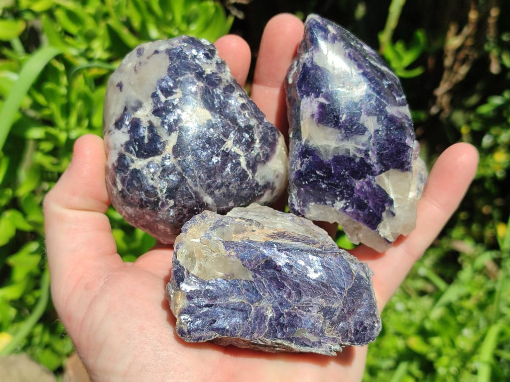 Polished One Side Silver Leaf Lepidolite Domed Nodules x 12 From Zimbabwe - Toprock Gemstones and Minerals 