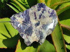 Polished One Side Silver Leaf Lepidolite Domed Nodules x 12 From Zimbabwe - Toprock Gemstones and Minerals 
