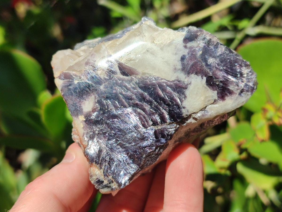 Polished One Side Silver Leaf Lepidolite Domed Nodules x 12 From Zimbabwe - Toprock Gemstones and Minerals 