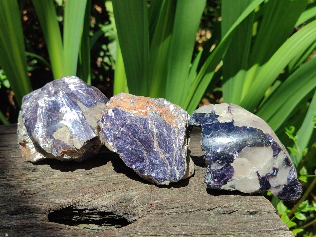 Polished One Side Silver Leaf Lepidolite Domed Nodules x 12 From Zimbabwe - Toprock Gemstones and Minerals 