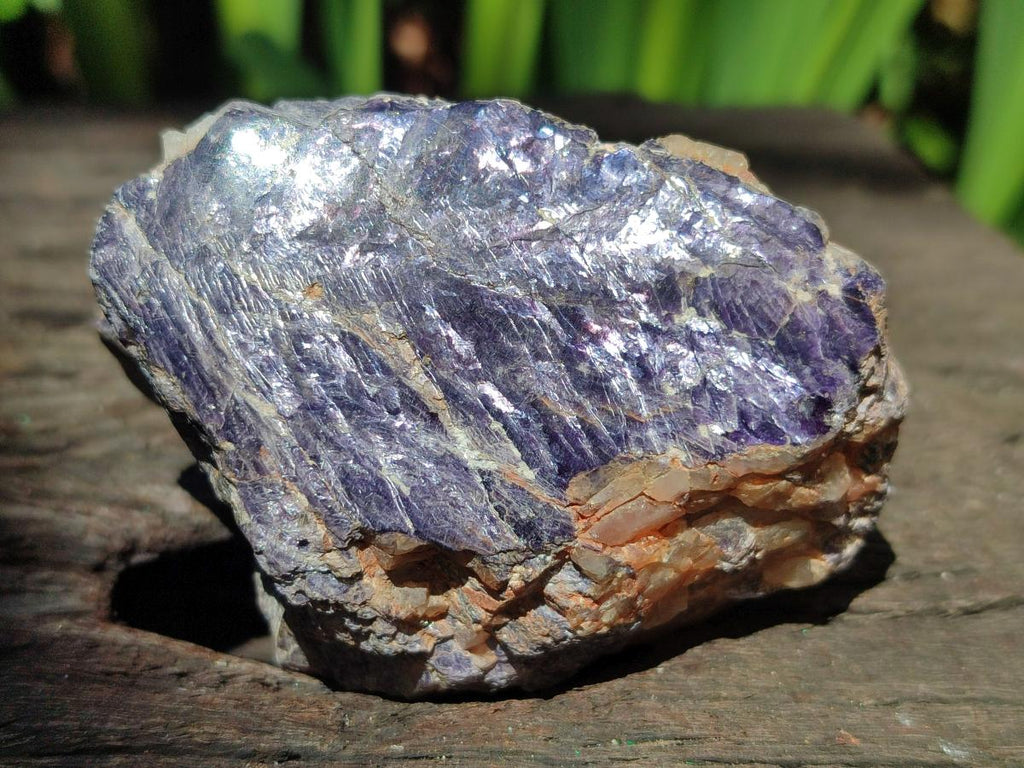 Polished One Side Silver Leaf Lepidolite Domed Nodules x 12 From Zimbabwe - Toprock Gemstones and Minerals 