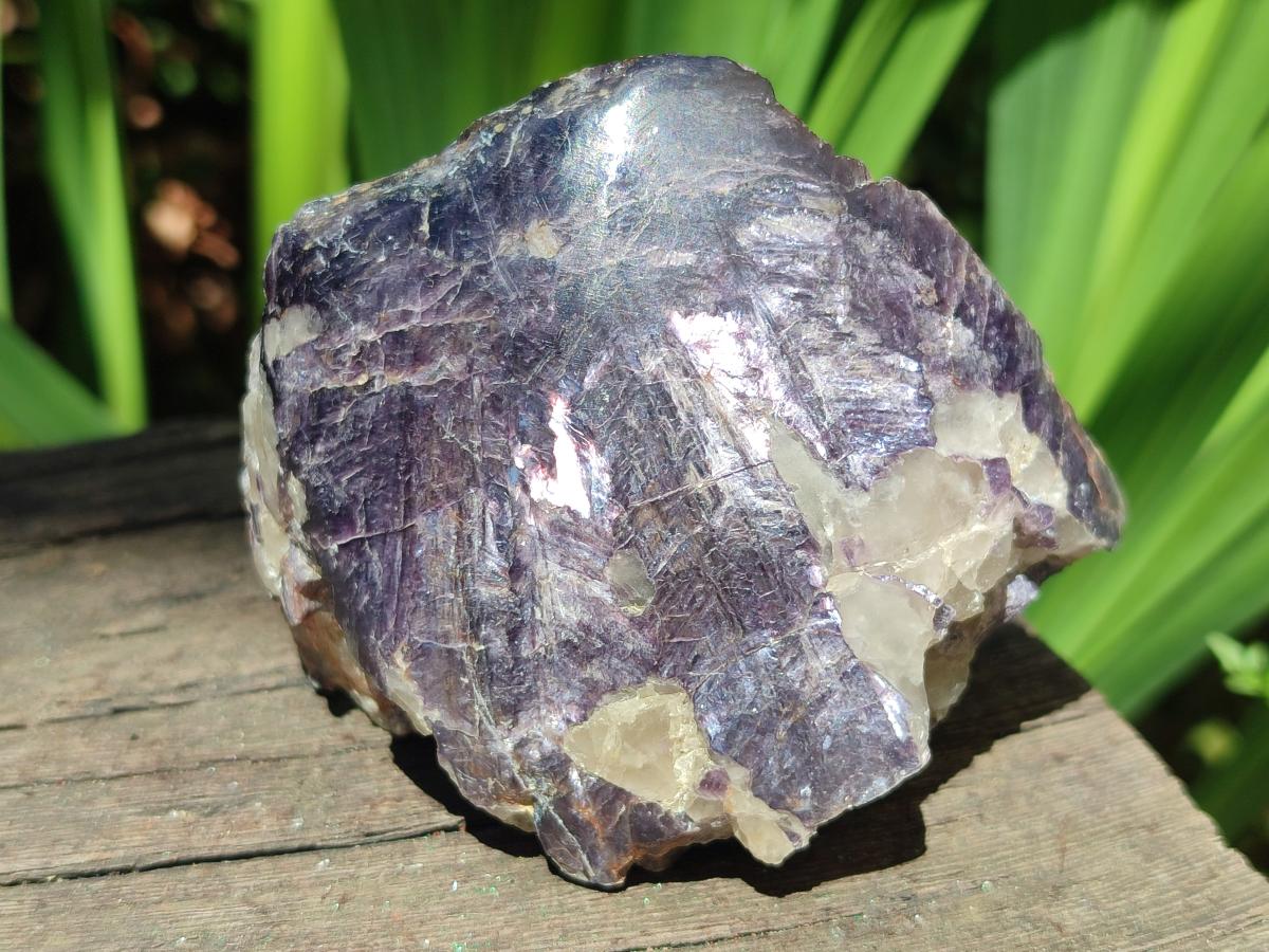 Polished One Side Silver Leaf Lepidolite Domed Nodules x 12 From Zimbabwe - Toprock Gemstones and Minerals 