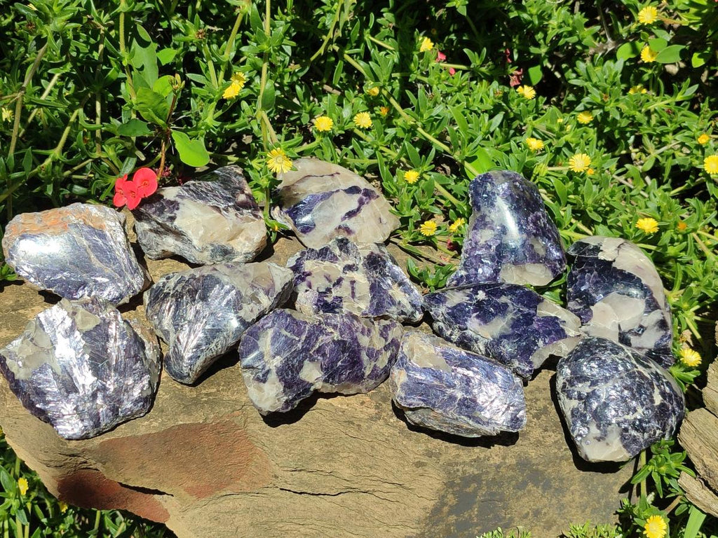 Polished One Side Silver Leaf Lepidolite Domed Nodules x 12 From Zimbabwe - Toprock Gemstones and Minerals 