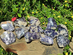 Polished One Side Silver Leaf Lepidolite Domed Nodules x 12 From Zimbabwe - Toprock Gemstones and Minerals 