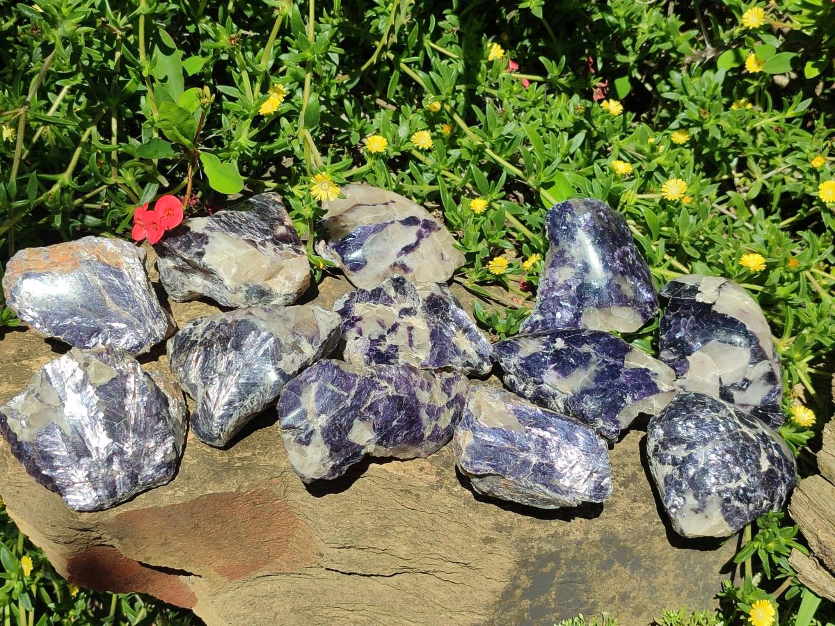 Polished One Side Silver Leaf Lepidolite Domed Nodules x 12 From Zimbabwe - Toprock Gemstones and Minerals 