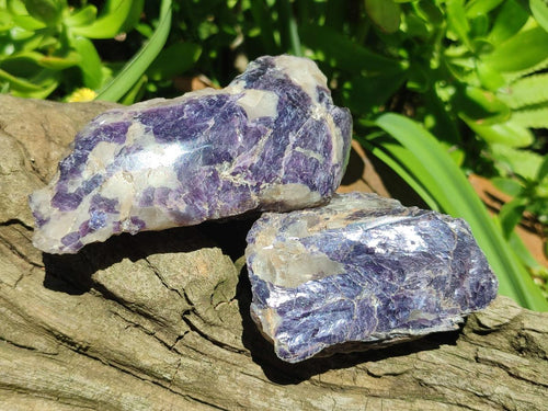 Polished One Side Silver Leaf Lepidolite Domed Nodules x 12 From Zimbabwe - Toprock Gemstones and Minerals 