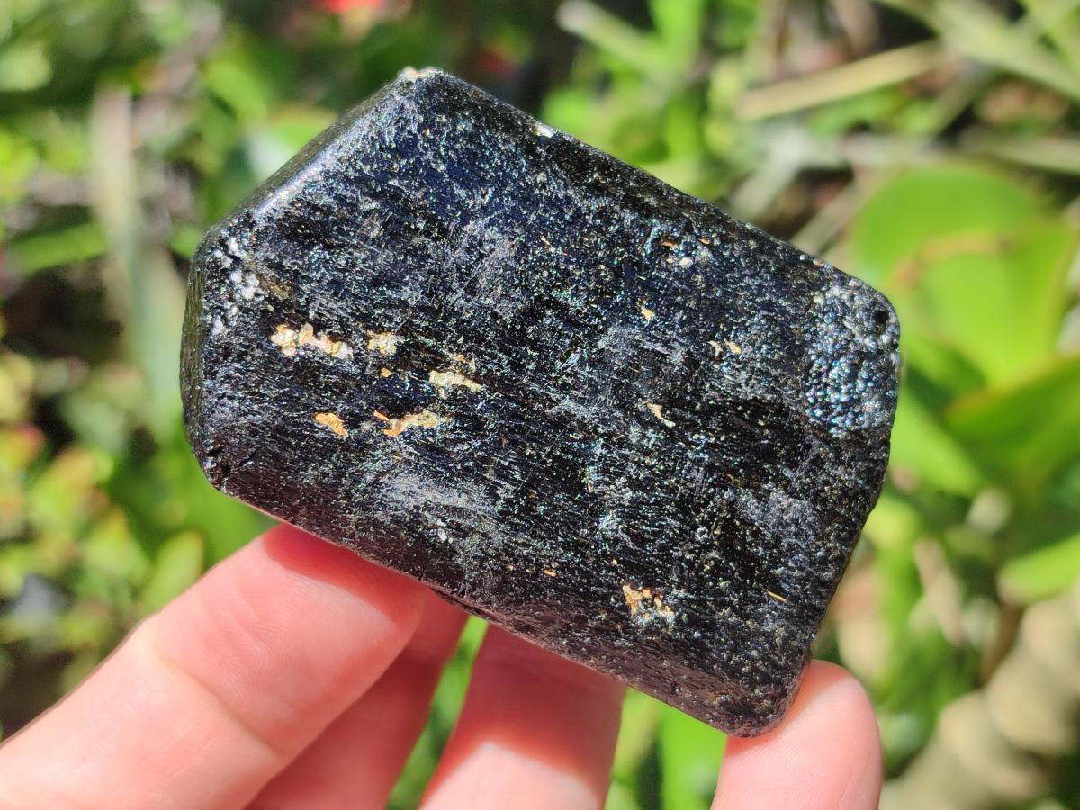 Natural Rough Black Tourmaline Crystals x 25 From Zambia - Toprock Gemstones and Minerals 