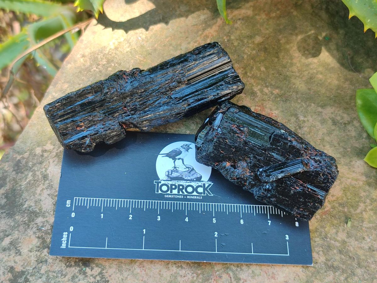 Natural Rough Black Tourmaline Crystals x 25 From Zambia - Toprock Gemstones and Minerals 