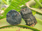 Natural Rough Black Tourmaline Crystals x 25 From Zambia - Toprock Gemstones and Minerals 