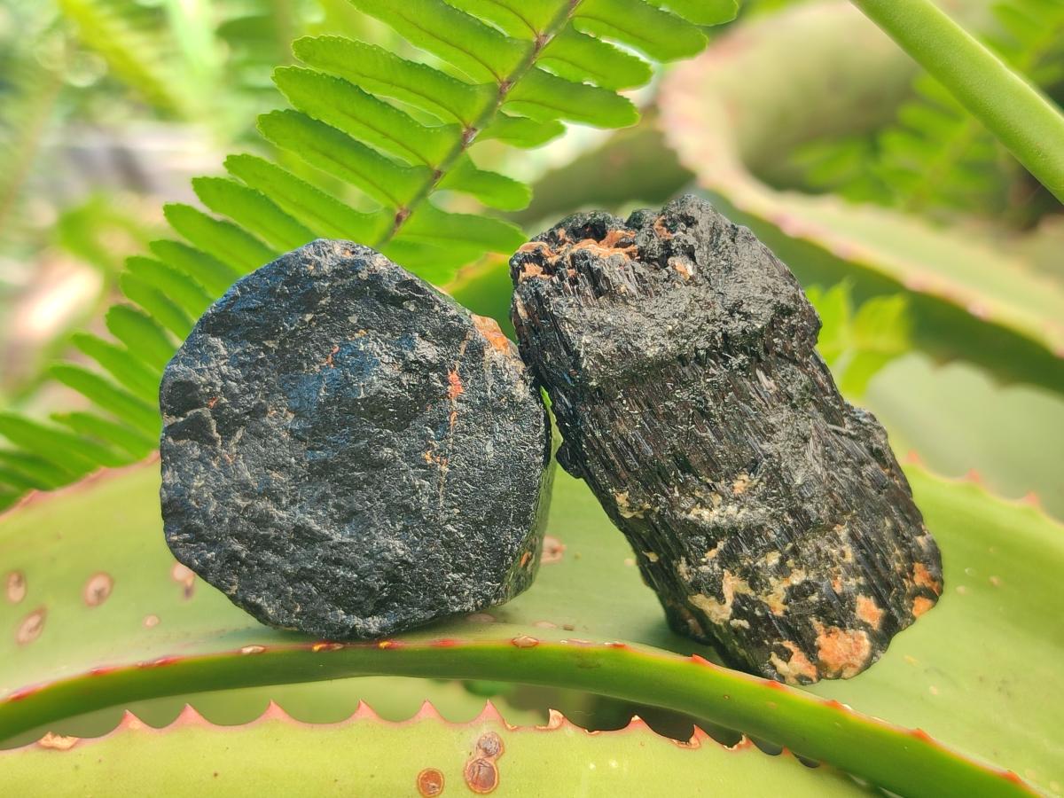 Natural Rough Black Tourmaline Crystals x 25 From Zambia - Toprock Gemstones and Minerals 
