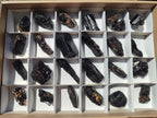 Natural Rough Black Tourmaline Crystals x 25 From Zambia - Toprock Gemstones and Minerals 