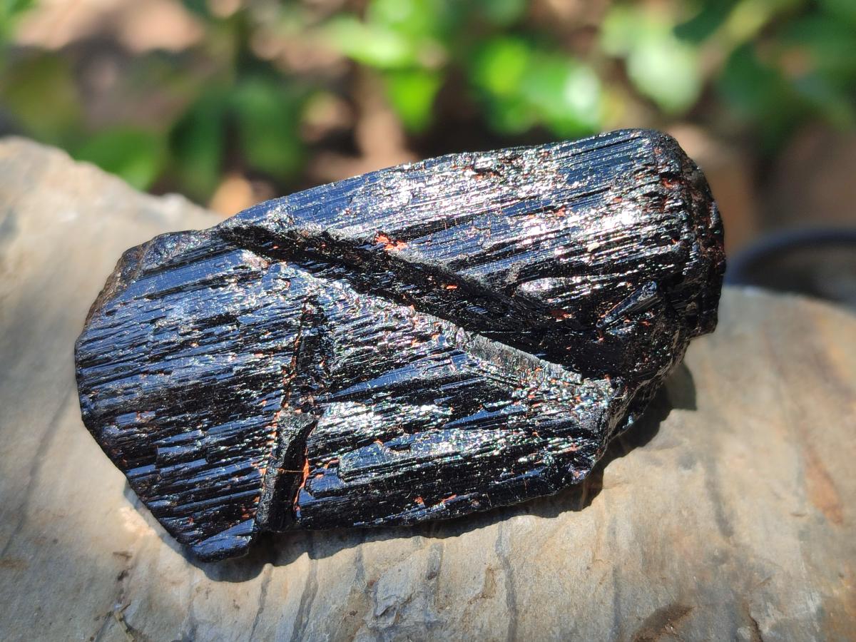 Natural Rough Black Tourmaline Crystals x 25 From Zambia - Toprock Gemstones and Minerals 