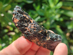 Natural Rough Black Tourmaline Crystals x 25 From Zambia - Toprock Gemstones and Minerals 