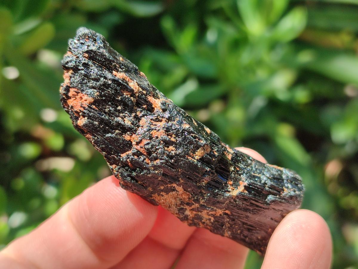 Natural Rough Black Tourmaline Crystals x 25 From Zambia - Toprock Gemstones and Minerals 