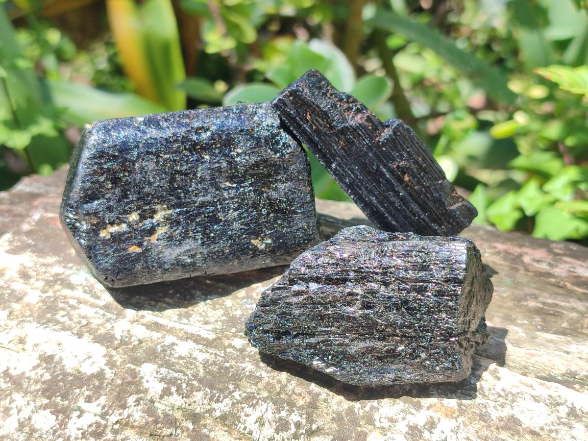 Natural Rough Black Tourmaline Crystals x 25 From Zambia - Toprock Gemstones and Minerals 