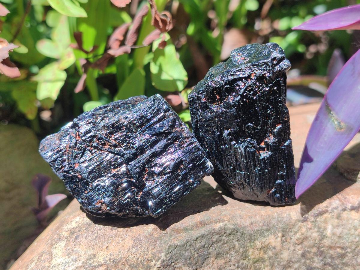 Natural Rough Black Tourmaline Crystals x 25 From Zambia - Toprock Gemstones and Minerals 