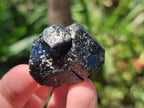 Natural Rough Black Tourmaline Crystals x 25 From Zambia - Toprock Gemstones and Minerals 