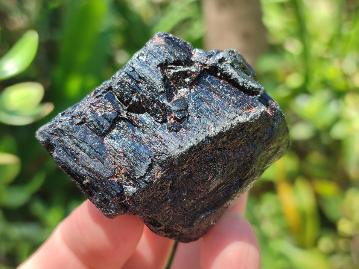 Natural Rough Black Tourmaline Crystals x 25 From Zambia - Toprock Gemstones and Minerals 