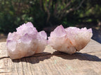 Natural Spirit Amethyst Clusters x 12 From Boekenhouthoek, South Africa - Toprock Gemstones and Minerals 