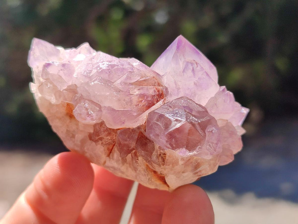 Natural Spirit Amethyst Clusters x 12 From Boekenhouthoek, South Africa - Toprock Gemstones and Minerals 