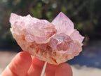 Natural Spirit Amethyst Clusters x 12 From Boekenhouthoek, South Africa - Toprock Gemstones and Minerals 