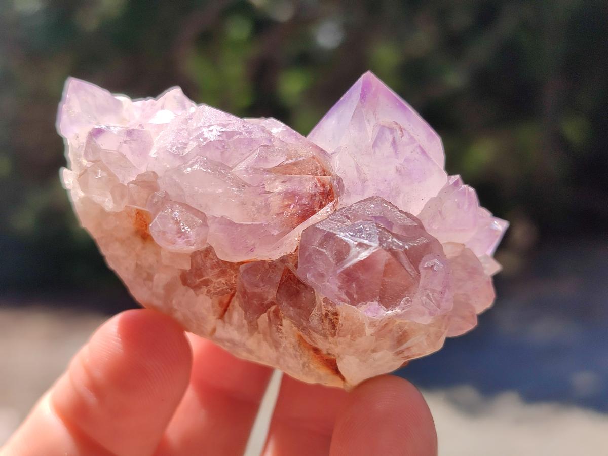 Natural Spirit Amethyst Clusters x 12 From Boekenhouthoek, South Africa - Toprock Gemstones and Minerals 