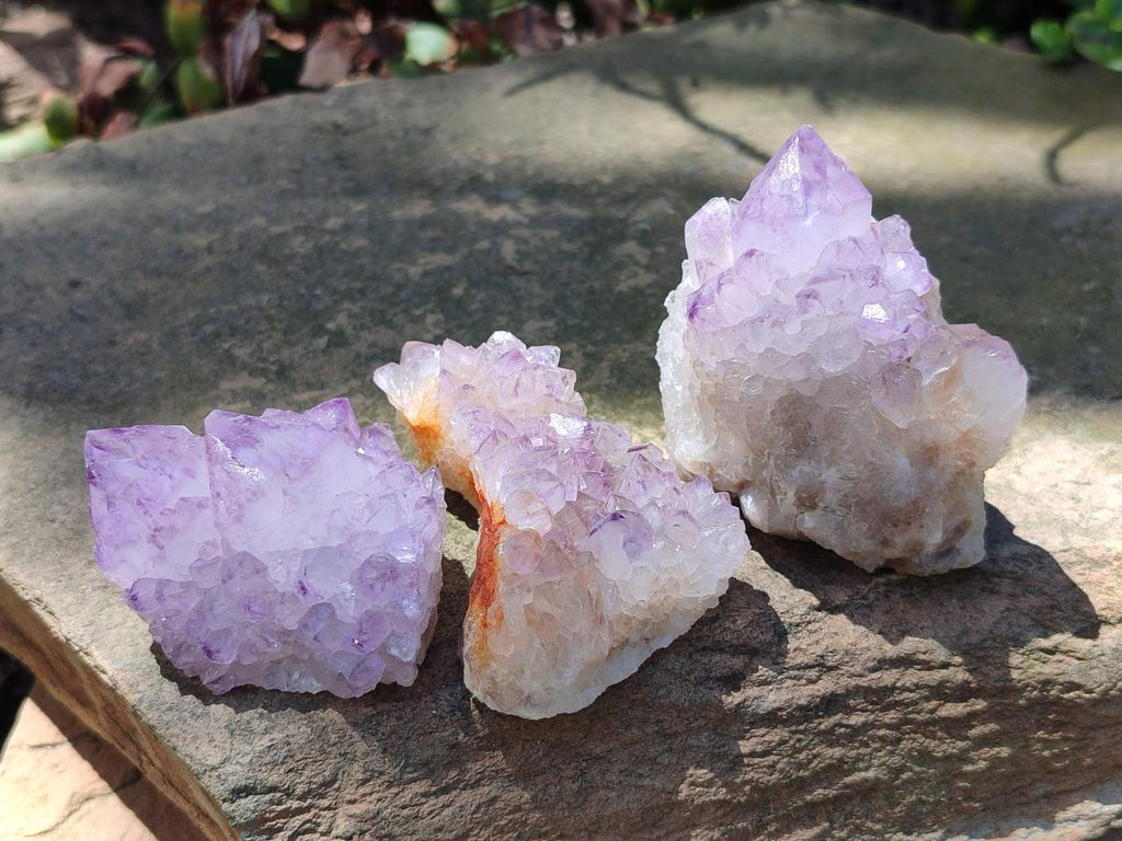 Natural Spirit Amethyst Clusters x 12 From Boekenhouthoek, South Africa - Toprock Gemstones and Minerals 