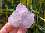 Natural Spirit Amethyst Clusters x 12 From Boekenhouthoek, South Africa - Toprock Gemstones and Minerals 