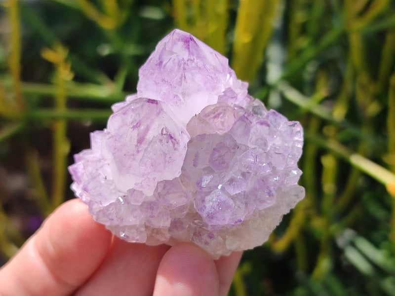 Natural Spirit Amethyst Clusters x 12 From Boekenhouthoek, South Africa - Toprock Gemstones and Minerals 