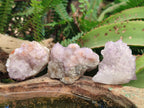 Natural Spirit Amethyst Clusters x 12 From Boekenhouthoek, South Africa - Toprock Gemstones and Minerals 